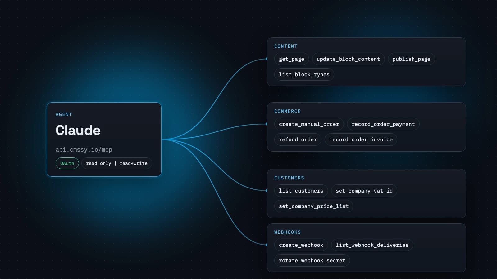 A Commerce MCP Server: What Your Agent Can Run in cmssy